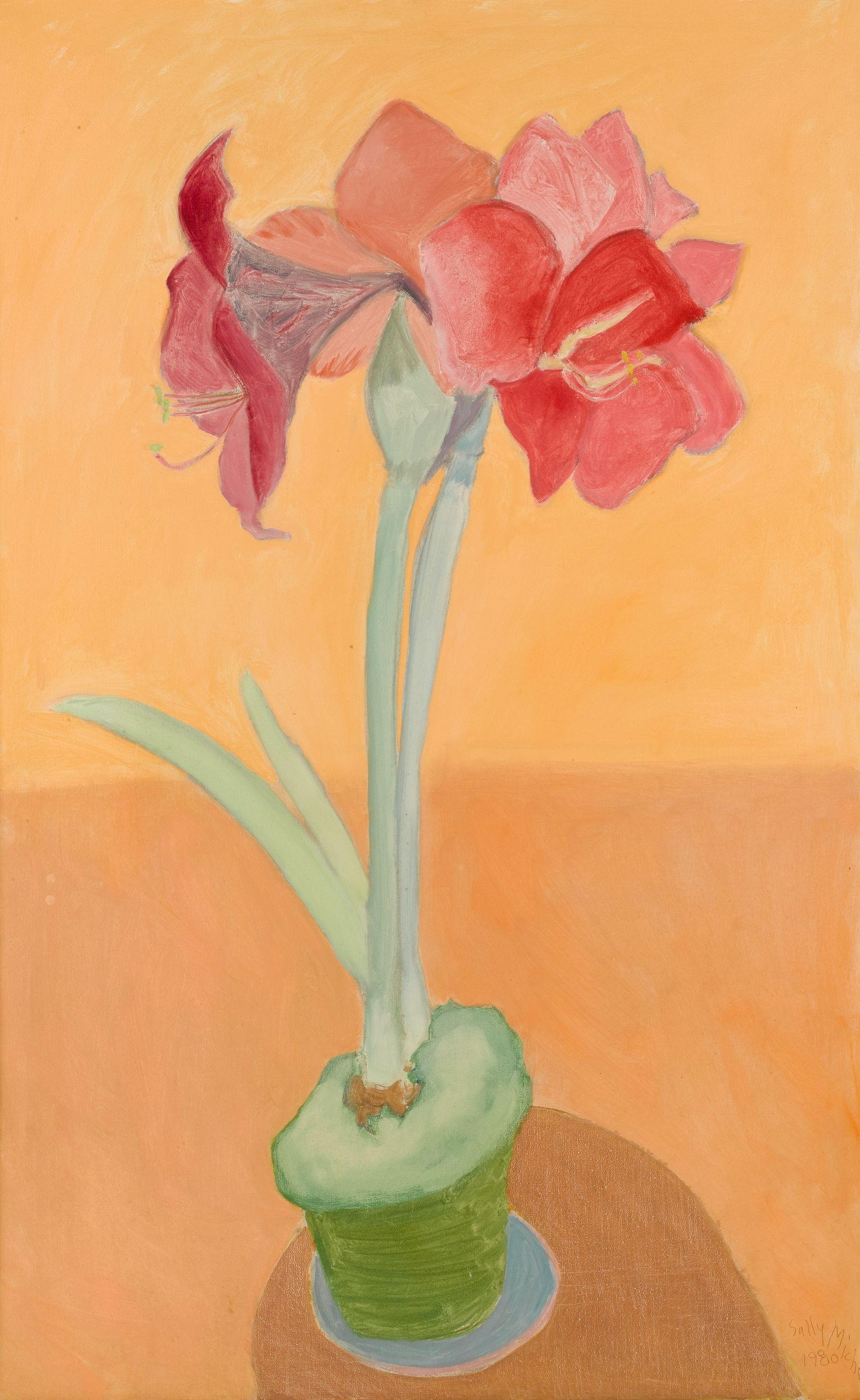 Sally Michel Avery - Rosy Amaryllis