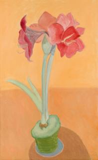 Sally Michel Avery - Rosy Amaryllis
