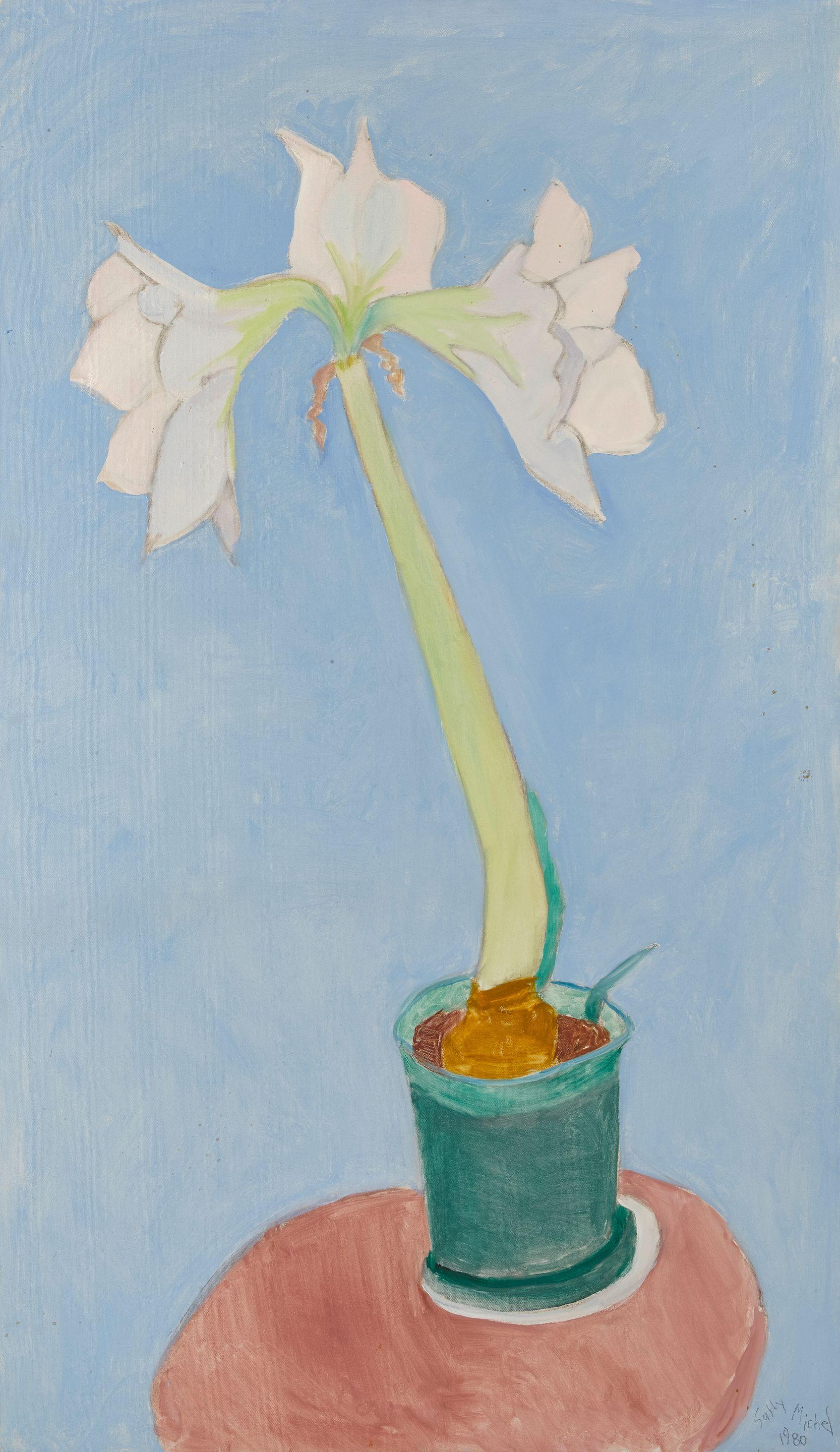 Sally Michel Avery - White Amaryllis