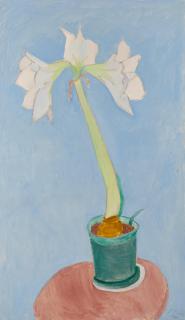 Sally Michel Avery - White Amaryllis
