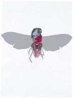 Sally Smart - Moth Femmage