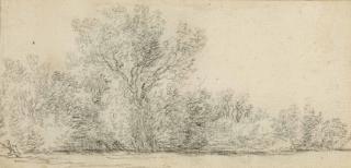 Salomon Van Ruysdael - Arbres En Bordure D\'Une Rivière