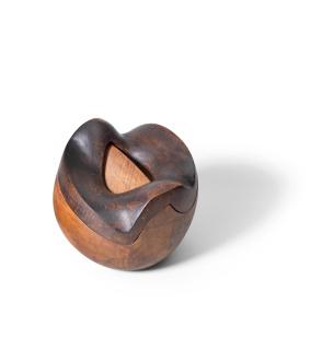 Saloua Raouda Choucair - Dual