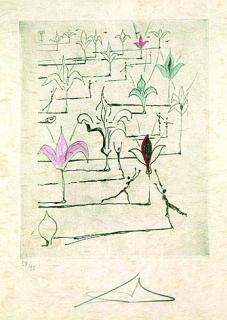 Salvador Dalí - 2 Bll.: Les Fleurs. La Tortue