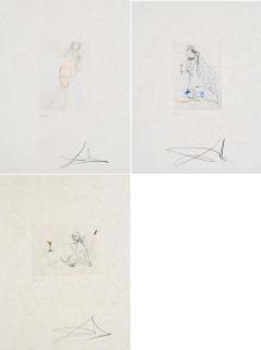 Salvador Dalí - Actes nues.