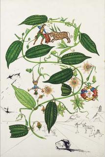 Salvador Dalí - Flores y toreros