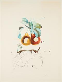 Salvador Dalí - Fruits troués (Aus: Flordali/Les Fruits).