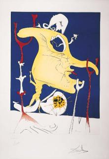 Salvador Dali - La Conquette Du Cosmos II, Paris, Jean Lavigne, 1973-4 (M. & L. 641, 645-6, 650-2)