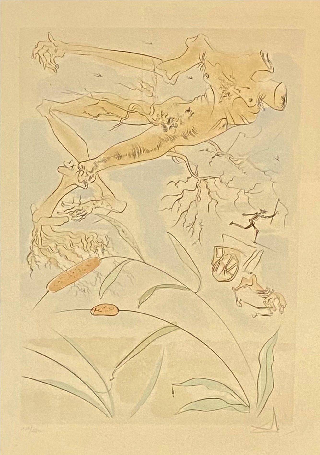 Salvador Dali - La Cour Du Lion, 1974