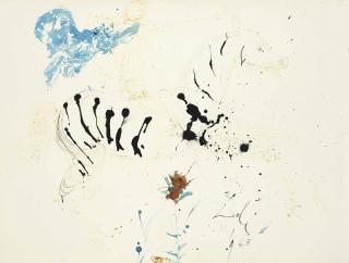 Salvador Dali - Le cavalier zèbre