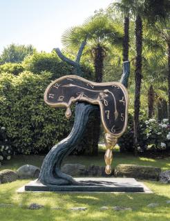 Salvador Dalí - Le profil du temps