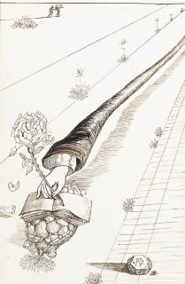 Salvador Dali - Look ma, I\'m writing