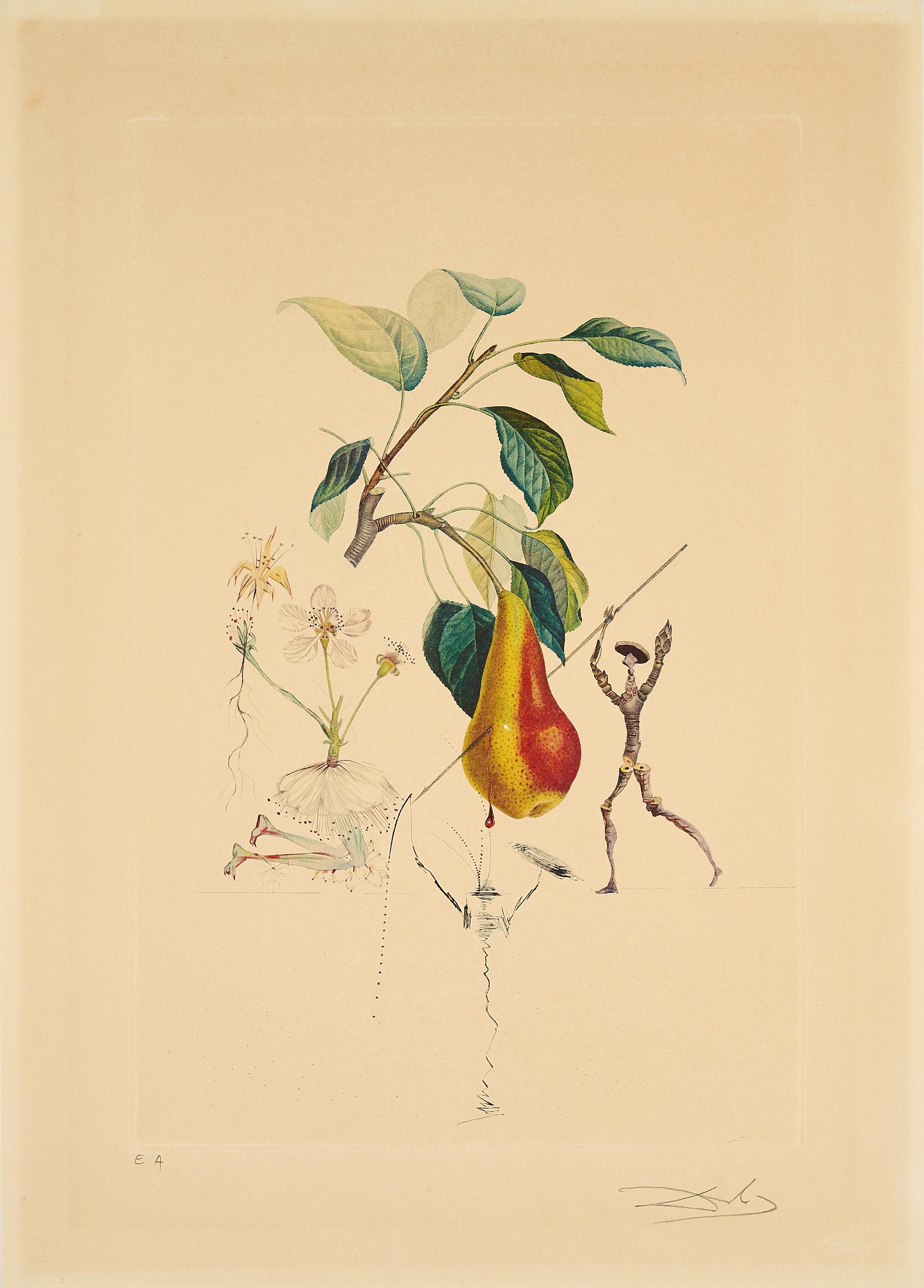 Salvador Dalí - Poire Don Quichotte (Aus: Flordali (Les Fruits)).