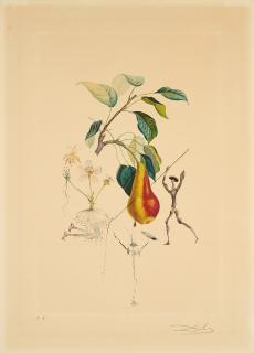 Salvador Dalí - Poire Don Quichotte (Aus: Flordali (Les Fruits)).