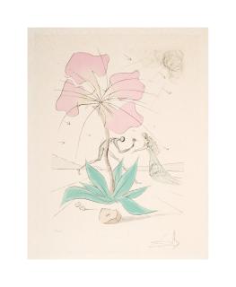 Salvador Dalí - Reuben, 1973