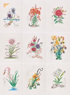 Salvador Dalí - Surrealistic Flowers.