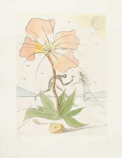 Salvador Dalí - Twelve Tribes of Israel (13 works)