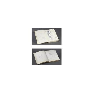 Salvador Dalí - Untitled: Two Drawings