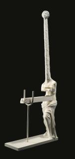 Salvador Dalí - Vénus À La Girafe