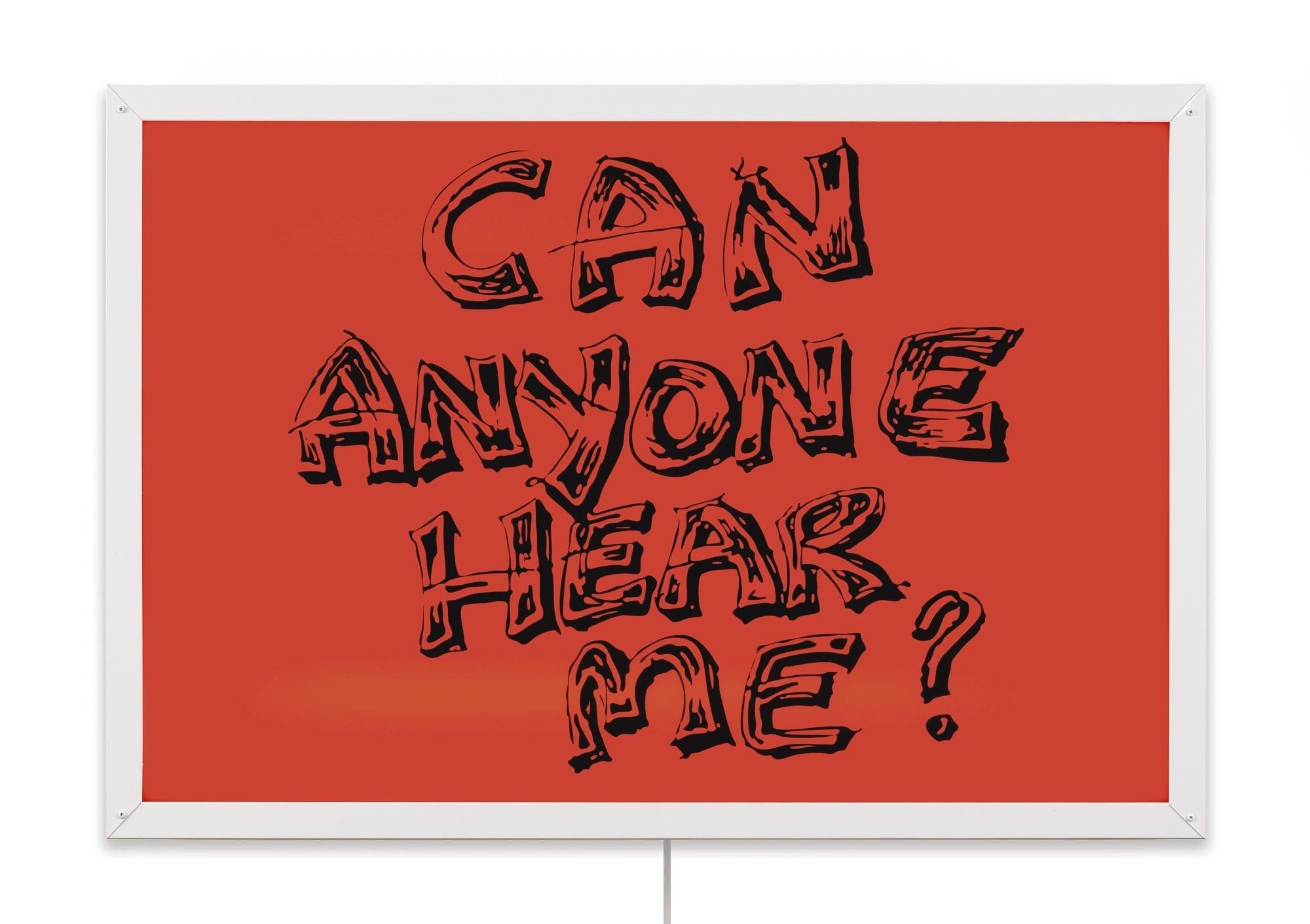 Sam Durant - Can Anyone Hear Me?