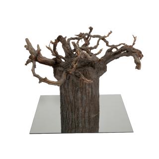 Sam Durant - Study for Strange Fruit (Upside Down Tree, Southern Tree, Tree of Knowledge), 2002