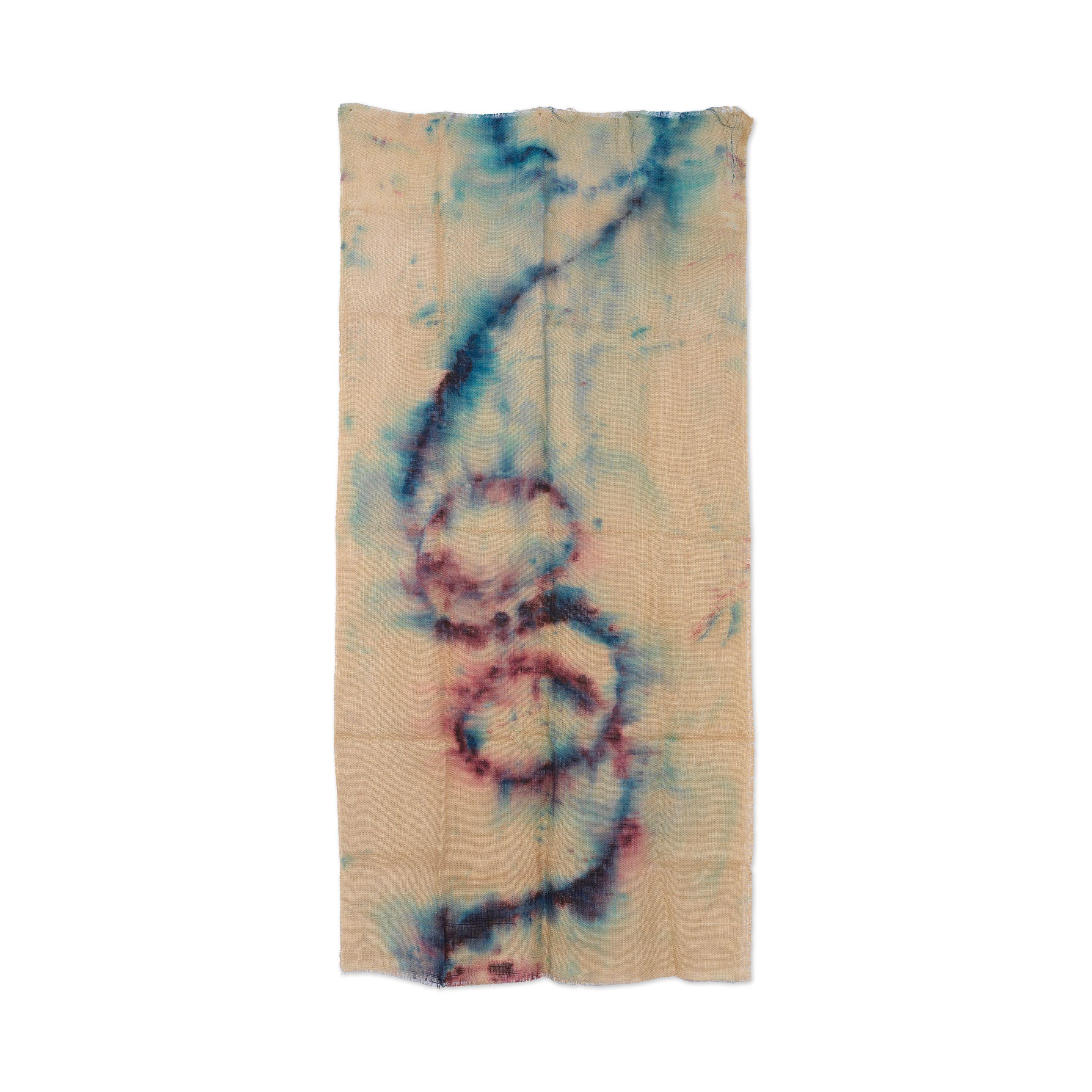 Sam Falls - Sans titre (gardening hose 18)