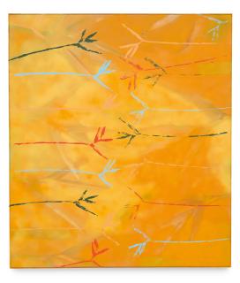 Sam Falls - Untitled (Birds of Paradise)