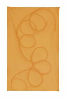 Sam Falls - Untitled (Orange 1, Topanga, Ca)