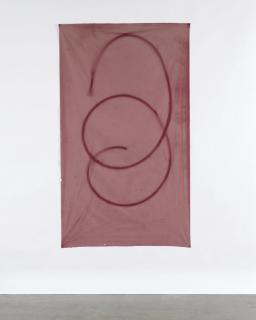 Sam Falls - Untitled (Red, Topanga, Ca)