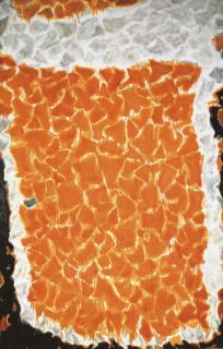 Sam Francis - Big Orange