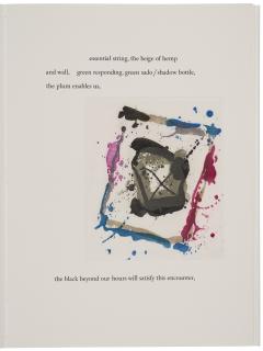 Sam Francis - Kathleen Fraser, Boundayr