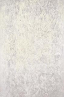 Sam Francis - White #5