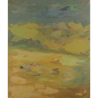 Sam Fullbrook - Australian Nocturne With Aeroplane And Fishes