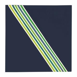 Sam Gilliam - Ribboned Ii