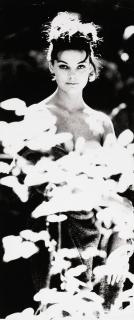 Sam Haskins - Sunday, early 1960s