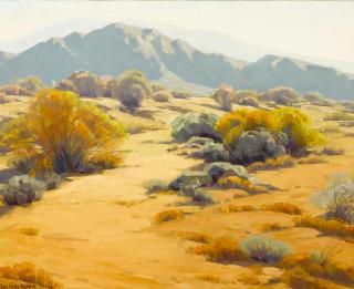Sam Hyde Harris - Desert brush and mountains