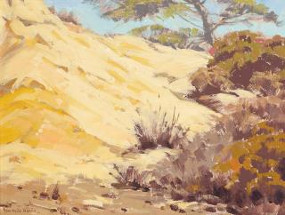 Sam Hyde Harris - La Jolla Sand Dunes