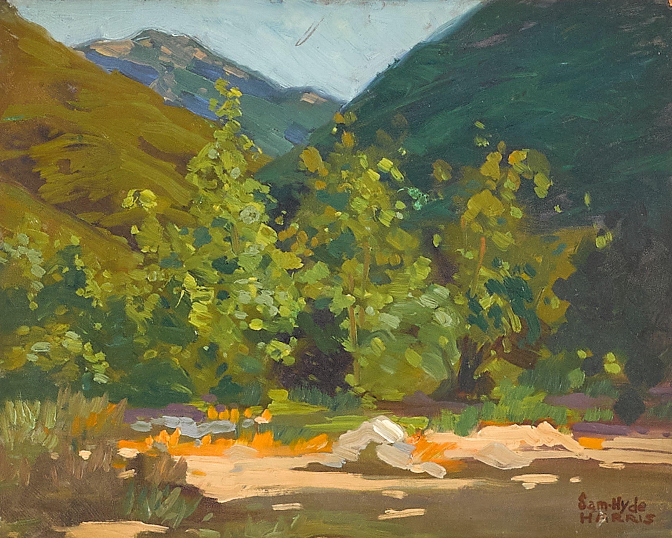 Sam Hyde Harris - Lost Springtime