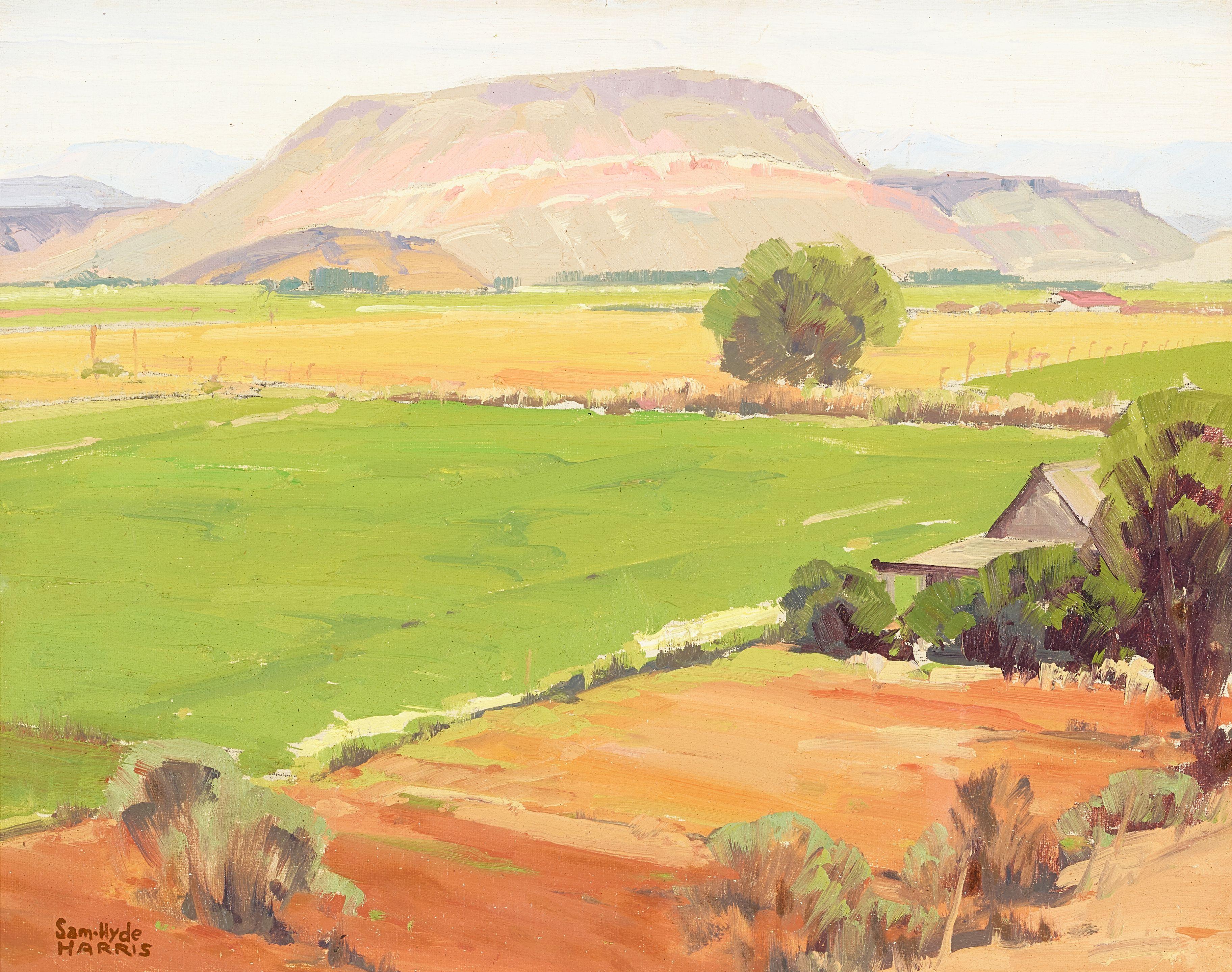 Sam Hyde Harris - Utah Patchwork