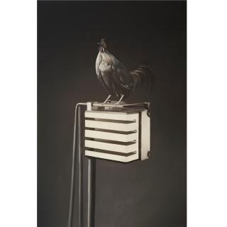 Sam Leach - Australian Cryomoderator