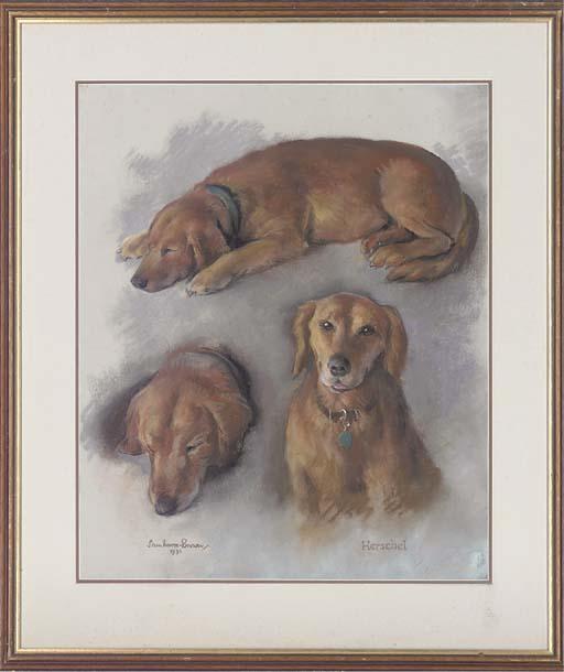 Sam Morse-Brown, A.R.W.A., P.S. - Herschel; Bush-Baby; Little Edgar; Scandal; and Herschel waiting for a walk