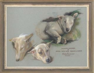 Sam Morse-Brown, A.R.W.A., P.S. - Zula and Polar Bear, Founder members of the Animal Green Cross, Bermuda; and Studies of Leo having a siesta