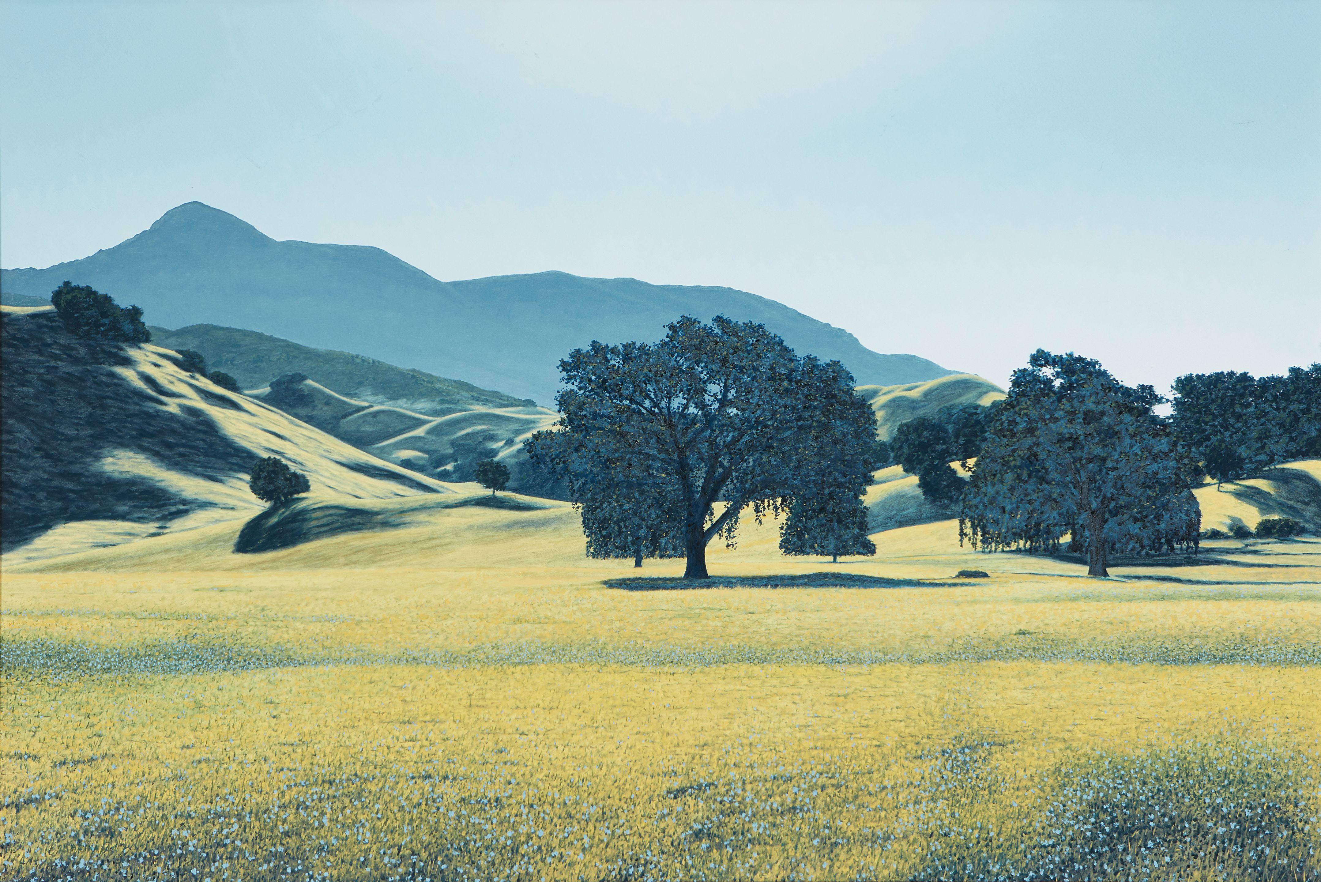Sam Racina - Knight\'s Valley, Sonoma County