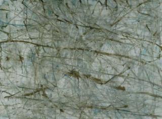 Sam Reveles - Ram Buck