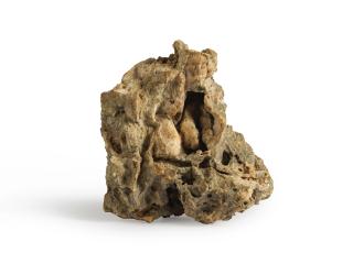 Sam Ringer - Le berger