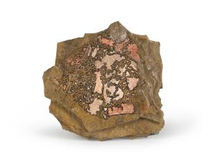 Sam Ringer - Sans titre