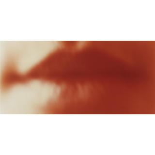 Sam Samore - American The Killers (No.35)