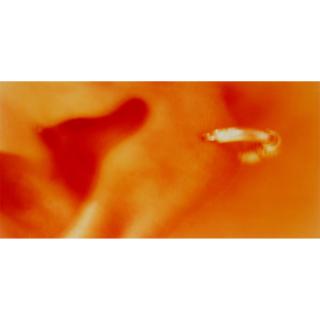 Sam Samore - The Sirens