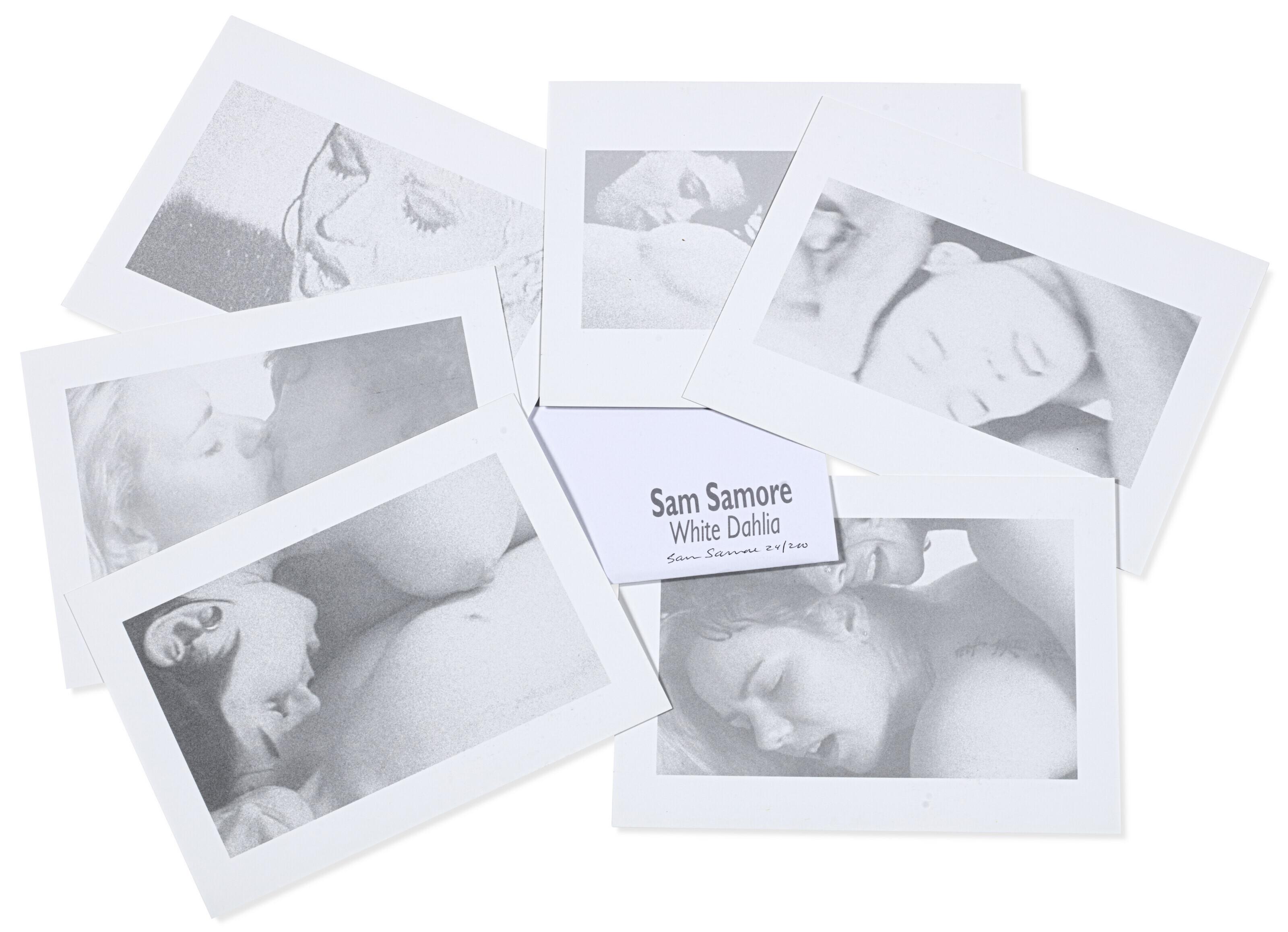 Sam Samore - White Dahlia