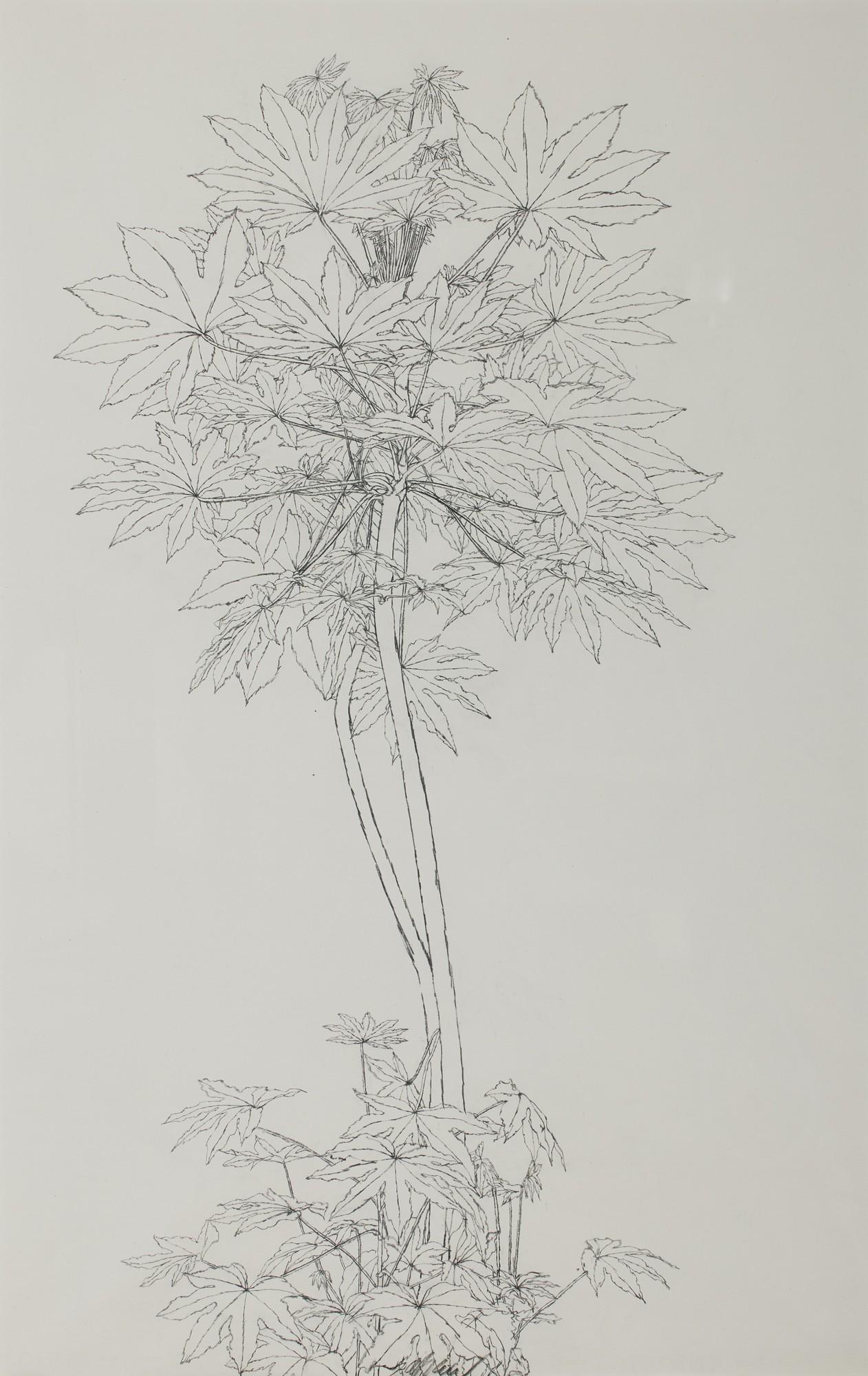 Sam Szafran - Feuillage No. 1